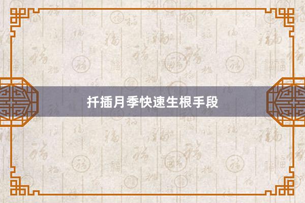 扦插月季快速生根手段